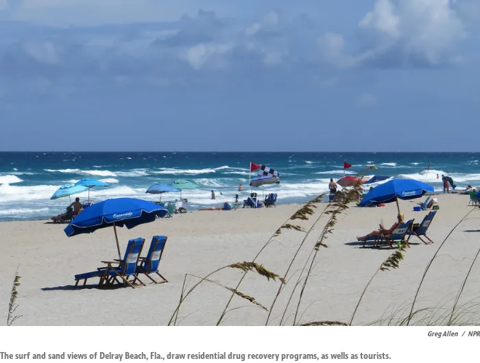 A beach scene at Delray Beach, Florida: blue umbrellas and lounge chairs on white sand, sea oats in the foreground, surf and flags behind. Caption credit Greg Allen, NPR.