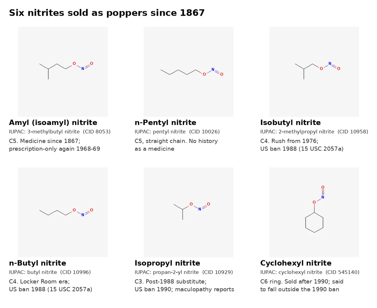 Six skeletal structures drawn by PubChem, labelled amyl (isoamyl) nitrite, n-pentyl nitrite, isobutyl nitrite, n-butyl nitrite, isopropyl nitrite and cyclohexyl nitrite, each with its IUPAC name, PubChem CID and a one-line note on its history.