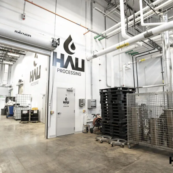 A photograph published by the company of a warehouse interior with a large Hau Processing logo painted on a white wall, a door labelled Extraction, stacked plastic pallets, steel mesh carts and overhead pipework.