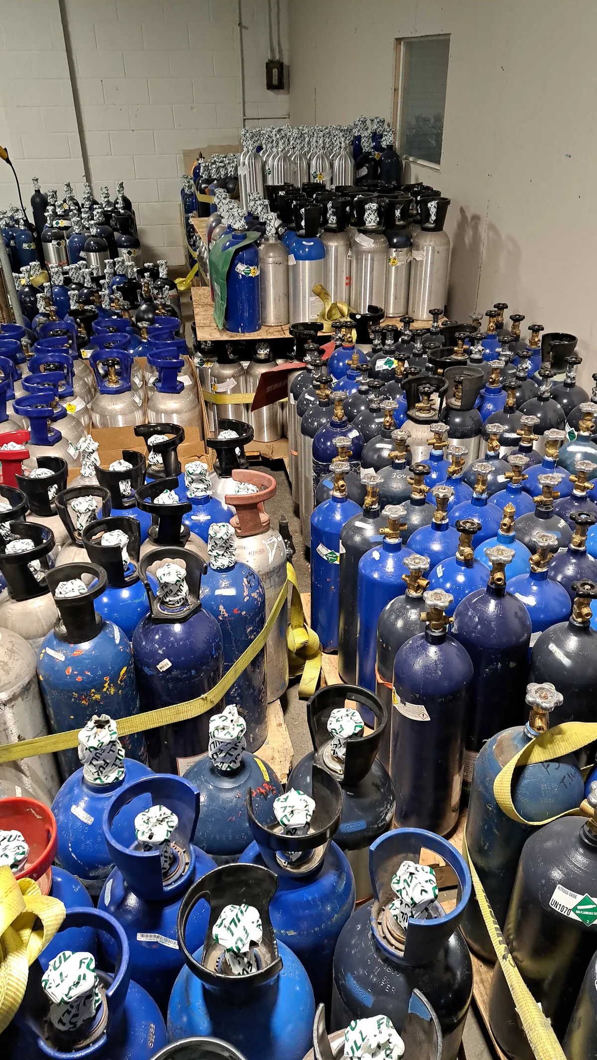 A storeroom with several hundred gas cylinders on pallets, blue steel and bare aluminum, many with black carry handles and white-and-green seals over the valves, one marked Nitrous Oxide UN1070.