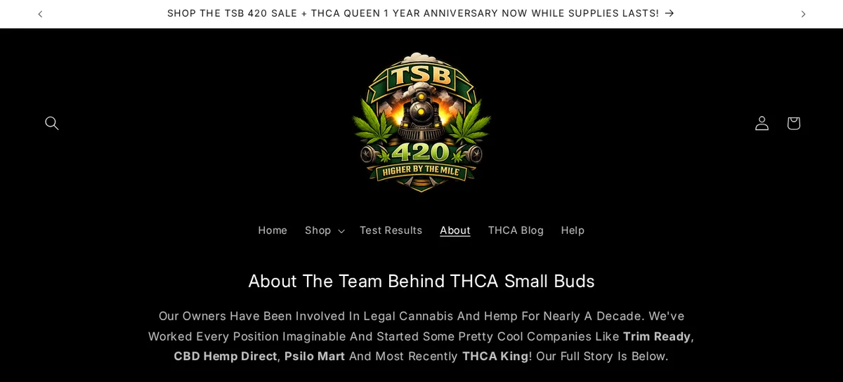 The top of the THCASmallBuds About page: 'About The Team Behind THCA Small Buds', naming Trim Ready, CBD Hemp Direct, Psilo Mart and THCA King as companies the owners started.