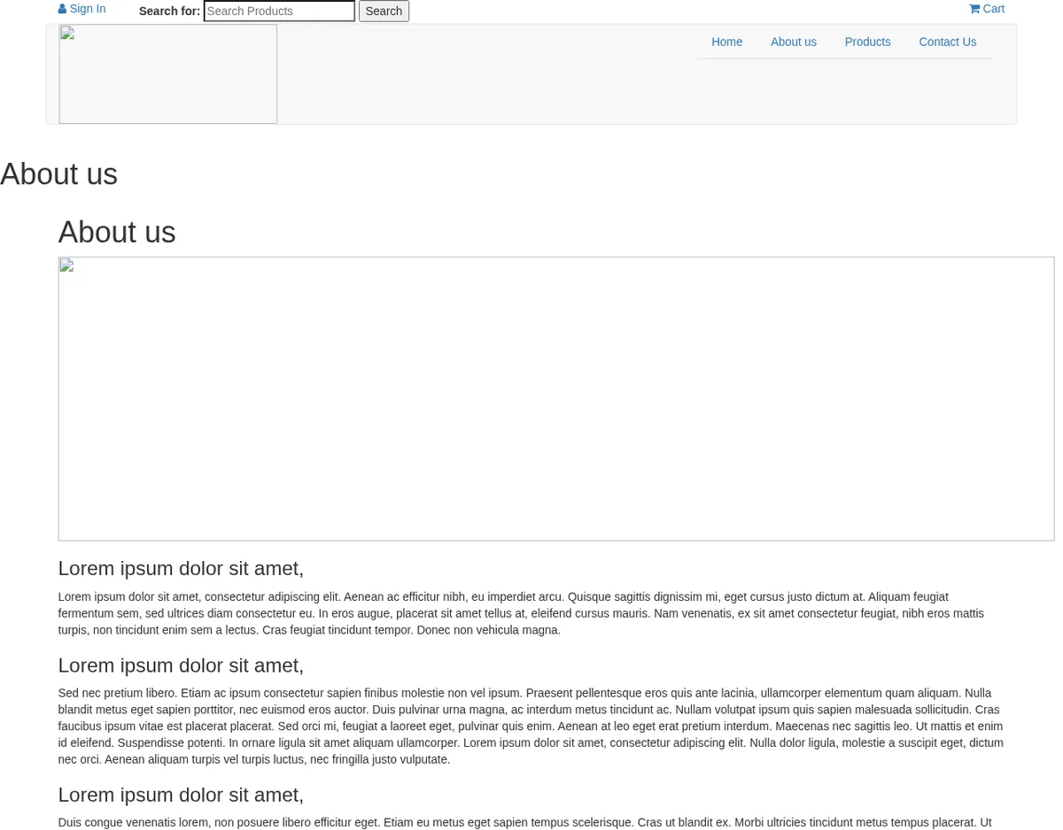 The About us page in August 2019, filled with Lorem ipsum placeholder paragraphs.